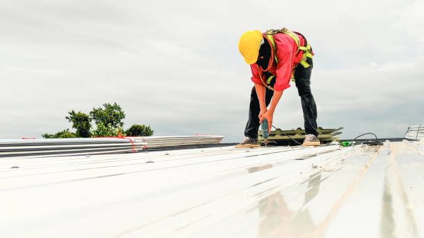 Best Commercial Roofing Services  in Ben Avon, SC